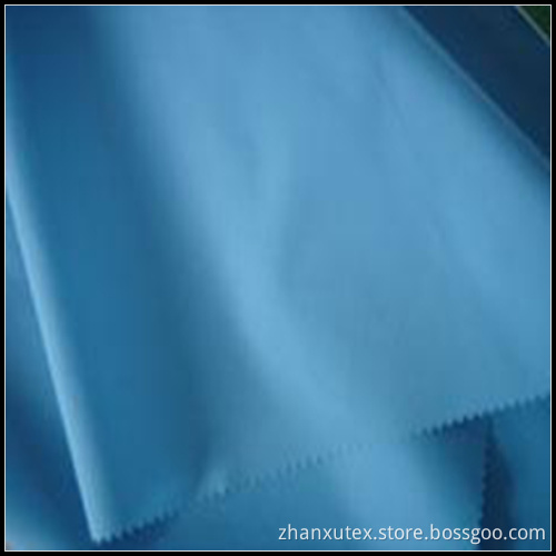 SGS Semi-Dull Nylon Taffeta Fabric (ZX-NSF061432)
